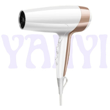 Wholesale Powerful Motor Salon 2 Speed/ 3 Hot Setting OEM Professional Ionic Hair Dryer with Diffuser and Nozzle Household