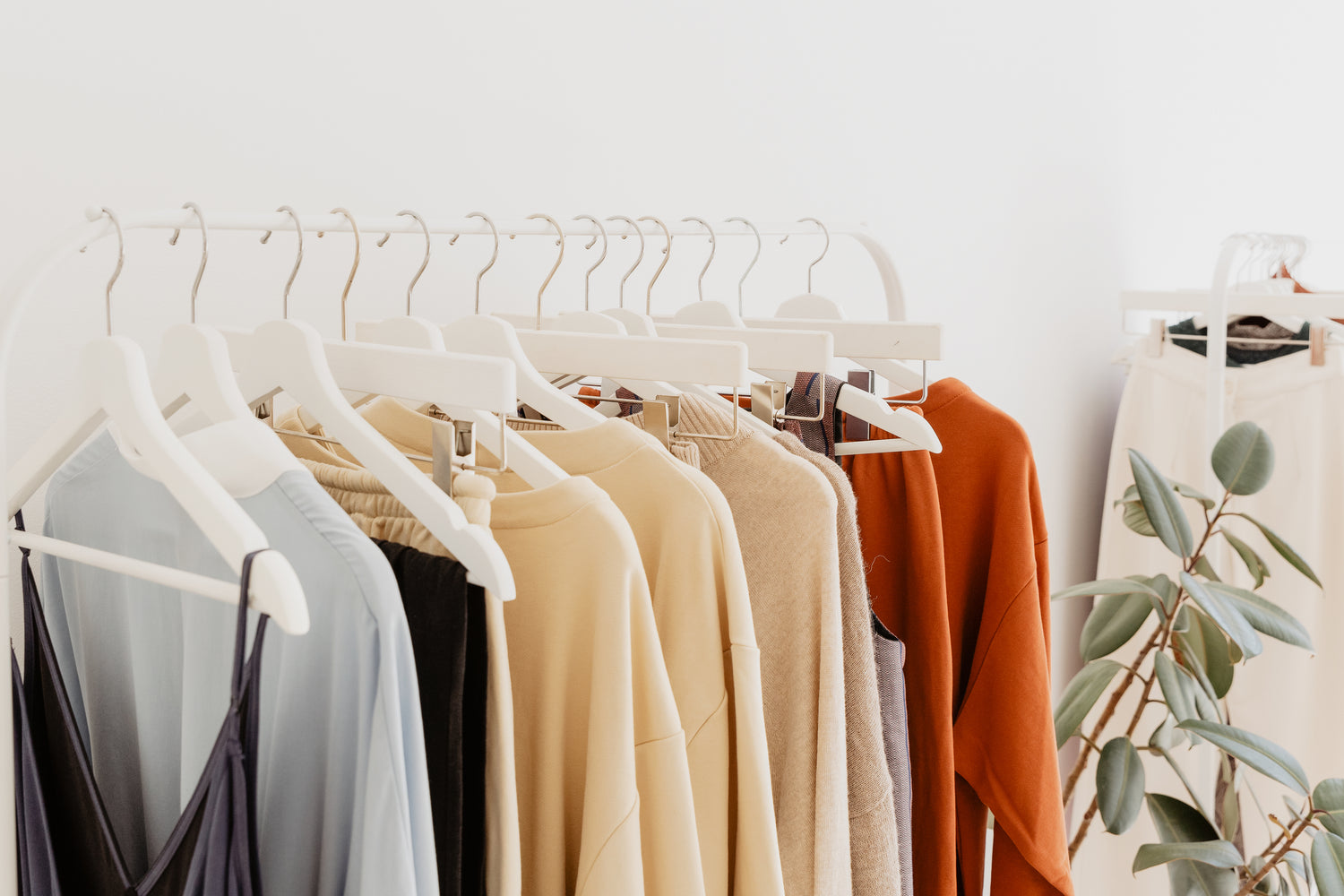 collection-banner-image